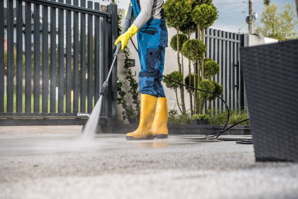 Best Fence Cleaning  in De Leon Springs, FL